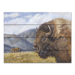 BR551PAL - Yellowstone Kings    - 16x12