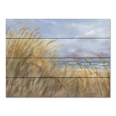 BR552PAL - Windy Day at the Shore     - 16x12