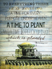 CIN111 - A Time to Plant - 12x16