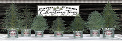 CIN1765 - Galvanized Pots Christmas Trees I - 18x6
