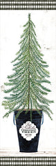 CIN1907A - Fir Tree    - 12x36