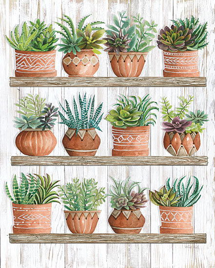 Cindy Jacobs CIN1937 - CIN1937 - Succulents on Shelves - 12x16 Succulents, Clay Pots, Shelves, Cactus, Southwestern from Penny Lane