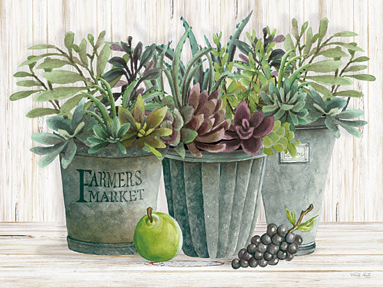 Cindy Jacobs CIN1947 - CIN1947 - Farmer Market Succulent Harvest - 16x12 Succulents, Tin Pails, Still Life, Fruit from Penny Lane