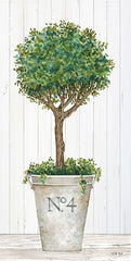 CIN1955 - Magnificent Topiary II - 9x18