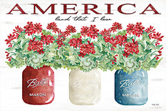 CIN2010 - America Glass Jars - 18x12
