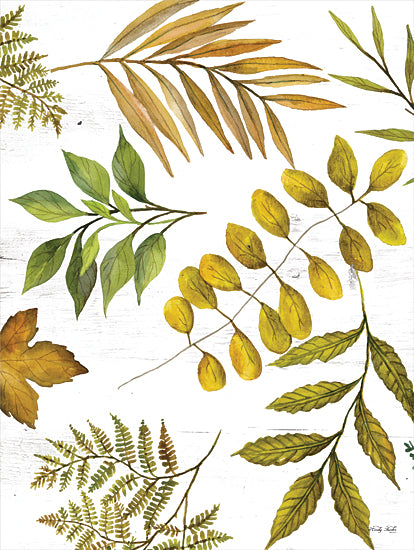 Cindy Jacobs CIN2058 - CIN2058 - Leaf Patterns I - 12x16 Leaves, Leaf Patterns from Penny Lane