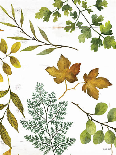 Cindy Jacobs CIN2059 - CIN2059 - Leaf Patterns II - 12x16 Leaves, Leaf Patterns from Penny Lane