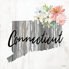 CIN2229 - Floral Connecticut State Art - 12x12