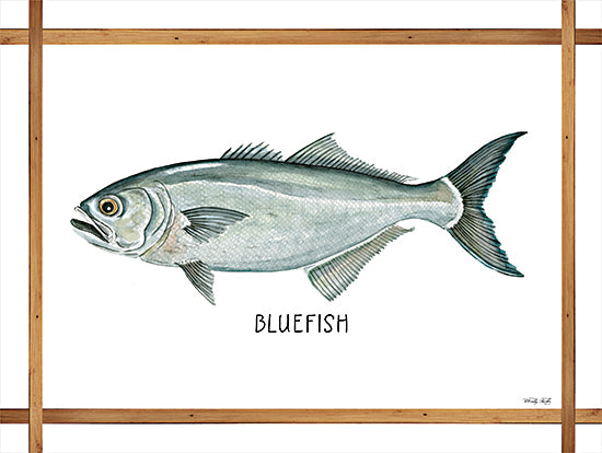 Cindy Jacobs CIN2256 - CIN2256 - Bluefish on White - 16x12 Bluefish, Fish, Frame, Coastal from Penny Lane