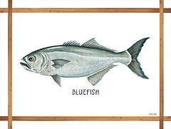 CIN2256 - Bluefish on White - 16x12