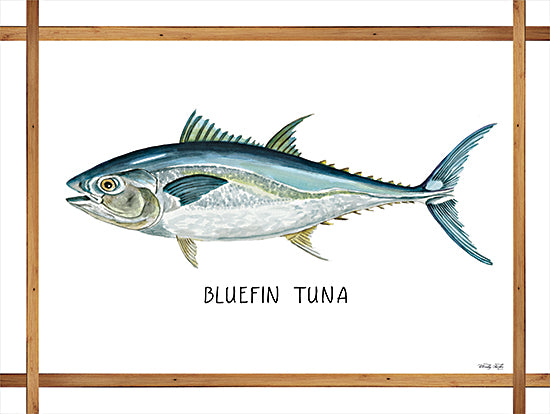 Cindy Jacobs CIN2257 - CIN2257 - Bluefin Tuna on White - 16x12 Bluefin Tuna, Fish, Frame, Coastal from Penny Lane