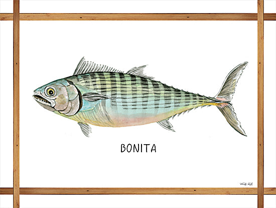 Cindy Jacobs CIN2258 - CIN2258 - Bonita on White - 16x12 Bonita Fish, Fish, Frame, Coastal from Penny Lane