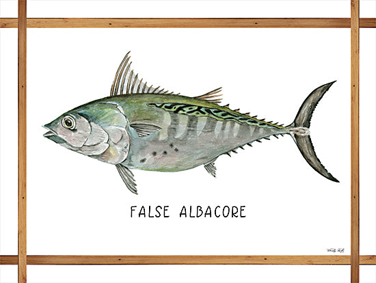 Cindy Jacobs CIN2260 - CIN2260 - False Albacore on White - 16x12 False Albacore, Fish, Frame, Coastal from Penny Lane