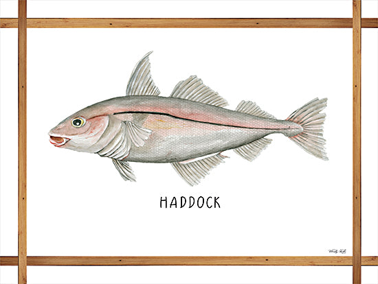 Cindy Jacobs CIN2261 - CIN2261 - Haddock on White - 16x12 Haddock, Fish, Frame, Coastal from Penny Lane