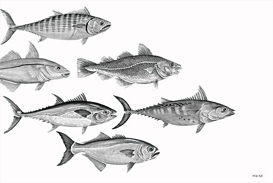 Cindy Jacobs CIN2268 - CIN2268 - Variety of Fish I - 18x12 Fish, Black & White, School of Fish, Coastal from Penny Lane