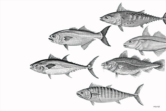 Cindy Jacobs CIN2269 - CIN2269 - Variety of Fish II - 18x12 Fish, Black & White, School of Fish, Coastal from Penny Lane