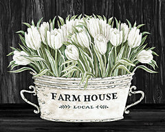 CIN2364 - Farmhouse Tulips    - 16x12