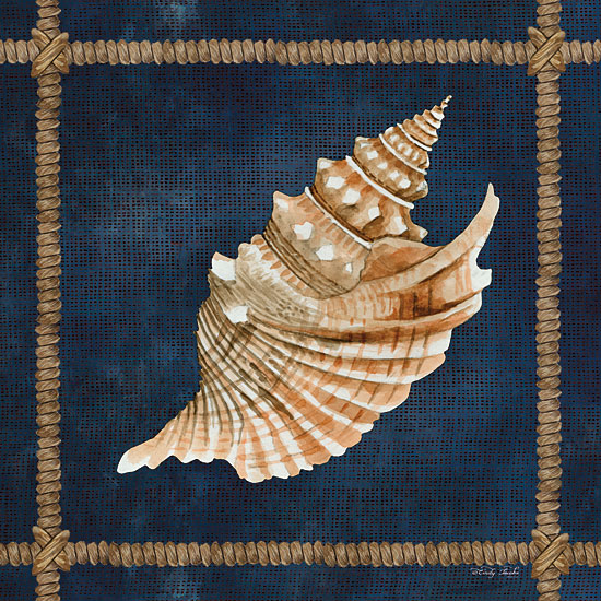 Cindy Jacobs CIN2375 - CIN2375 - Seashell on Navy V - 12x12 Shell, Rope Frame, Blue Background, Coastal from Penny Lane