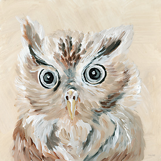 Cindy Jacobs CIN2468 - CIN2468 - Willow the Owl - 12x12 Owl, Owlet, Baby, Children from Penny Lane