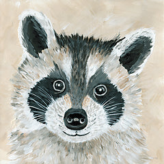 CIN2469 - Roxie the Raccoon - 12x12