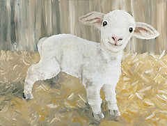 CIN2512 - Titus the Tiny Lamb - 16x12