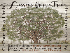 CIN251 - Lessons from a Tree - 16x12