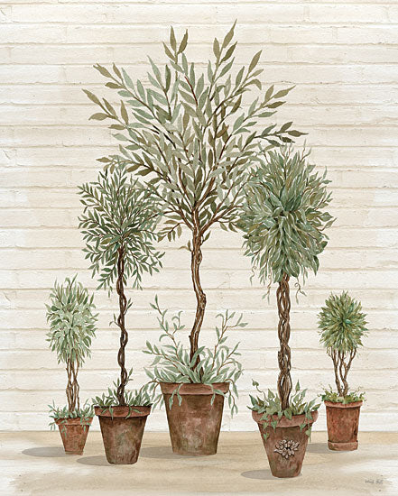 Cindy Jacobs CIN2533 - CIN2533 - Potted Tree Collection    - 12x16 Potted Trees, Still Life, Trees from Penny Lane