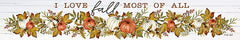 CIN2660 - I Love Fall Pumpkins - 36x6