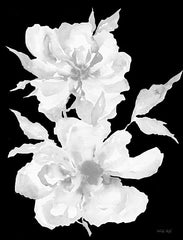 CIN2794 - Black & White Flowers I - 12x16