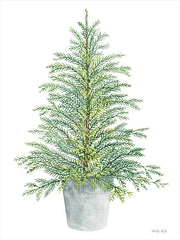 CIN2834 - Spruce Tree in Pot - 12x16