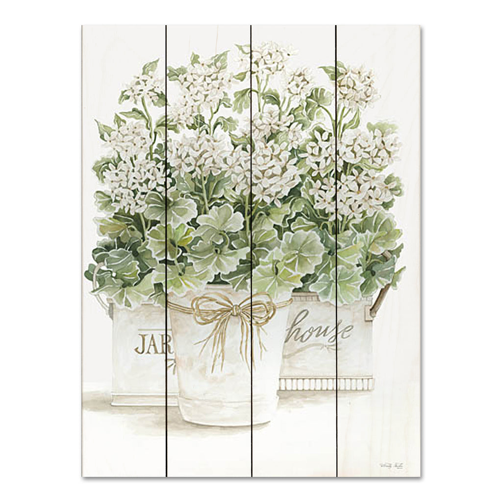 Cindy Jacobs CIN2876PAL - CIN2876PAL - White Geraniums I - 12x16 Flowers, Geraniums, White Geraniums, Spring, French Country, Still Life, Farmhouse from Penny Lane