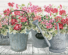 CIN2890 - Potted Geranium Mix II - 16x12