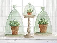 CIN2937 - Garden Cloche Trio I - 16x12