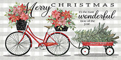 CIN3073 - The Most Wonderful Time of the Year - 18x9