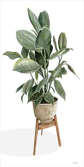 Cindy Jacobs CIN3163 - CIN3163 - Potted Plant - 9x18 Potted Plant, Green Plant, House Plant, Greenery from Penny Lane