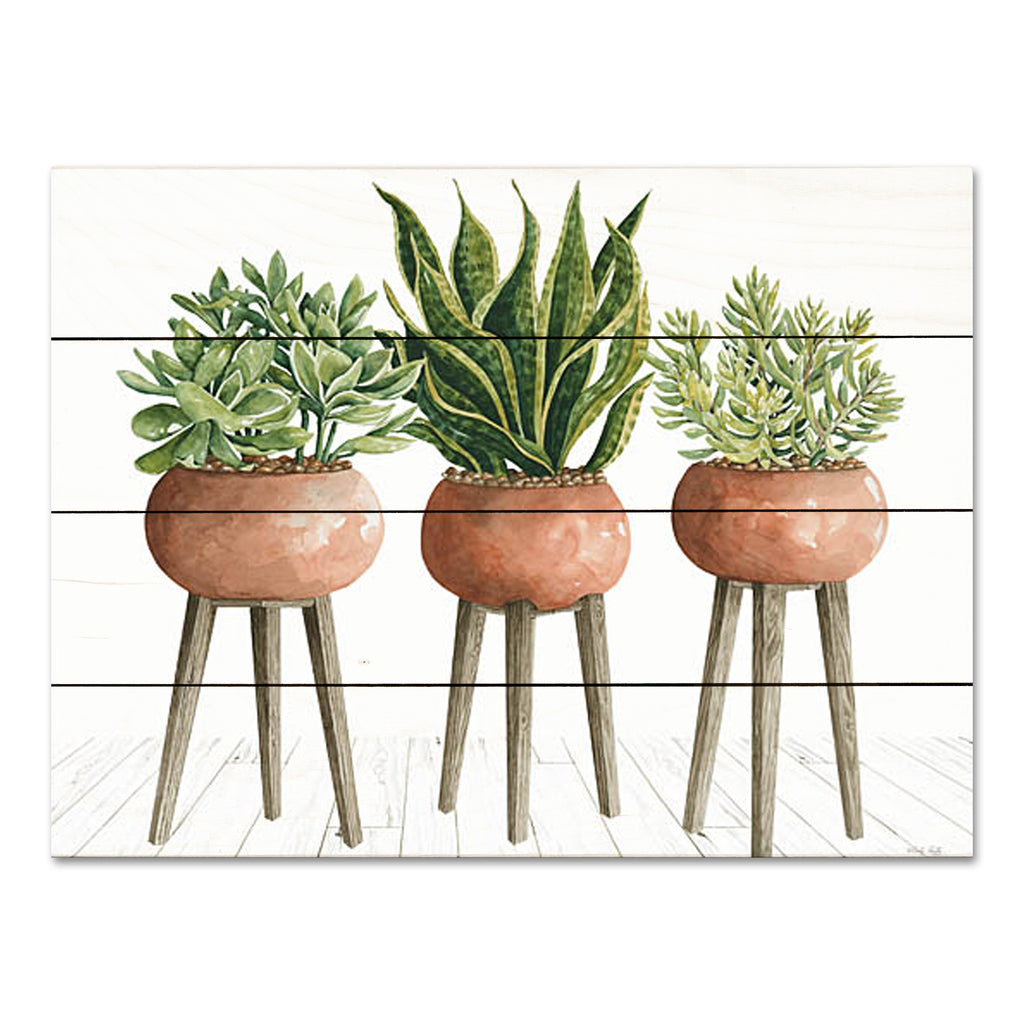 Cindy Jacobs CIN3164PAL - CIN3164PAL - Clay Pot Trio of Plants - 16x12 Still Life, Plants, Green Plants, Potted Plants, Plant Stands, Botanical from Penny Lane