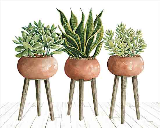 Cindy Jacobs CIN3164 - CIN3164 - Clay Pot Trio of Plants - 16x12 Still Life, Plants, Green Plants, Potted Plants, Plant Stands, Botanical from Penny Lane