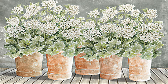 Cindy Jacobs CIN3227 - CIN3227 - All in a Row II  - 18x9 Still Life, Flowers, Terra Cotta Pots, Blooms, Potted Plants, White Flowers from Penny Lane