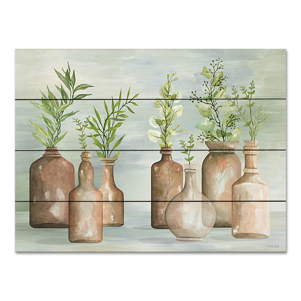Cindy Jacobs CIN3235PAL - CIN3235PAL - Greenery in Bottles II - 16x12 Still Life, Greenery, Leaves, Ferns, Eucalyptus, Vases, Terra Cotta Colored Vases from Penny Lane