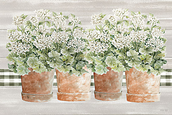 Cindy Jacobs CIN3247 - CIN3247 - Welcoming Geraniums II - 18x12 Still Life, Geraniums, Flowers, White Flowers, Terra Cotta Pots, Potted Flowers, Farmhouse/Country, Spring from Penny Lane