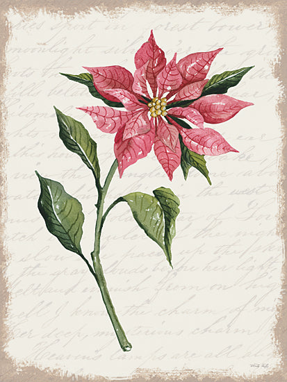 Cindy Jacobs CIN3263 - CIN3263 - Poinsettia Botanical I - 12x16 Christmas, Holidays, Flower, Poinsettia, Christmas Flower, Red Poinsettia, Calligraphy Background, Winter from Penny Lane