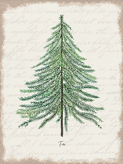 Cindy Jacobs CIN3268 - CIN3268 - Fir Botanical - 12x16 Christmas Holidays, Tree, Fir, Christmas Tree, Winter, Typography, Signs, Textual Art, Calligraphy Background from Penny Lane