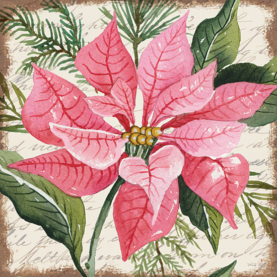 Cindy Jacobs Licensing CIN3271LIC - CIN3271LIC - Pink Poinsettia Botanical - 0  from Penny Lane