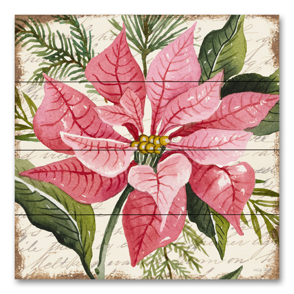 Cindy Jacobs CIN3271PAL - CIN3271PAL - Pink Poinsettia Botanical - 12x12 Pink Poinsettias, Poinsettia, Flowers, Christmas Flowers, Pink Greenery, Christmas, Holidays from Penny Lane