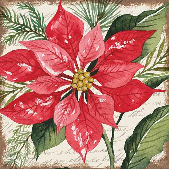 Cindy Jacobs CIN3272 - CIN3272 - Red Poinsettia Botanical - 12x12 Red Poinsettias, Poinsettia, Flowers, Christmas Flowers, Red, Greenery, Christmas, Holidays from Penny Lane