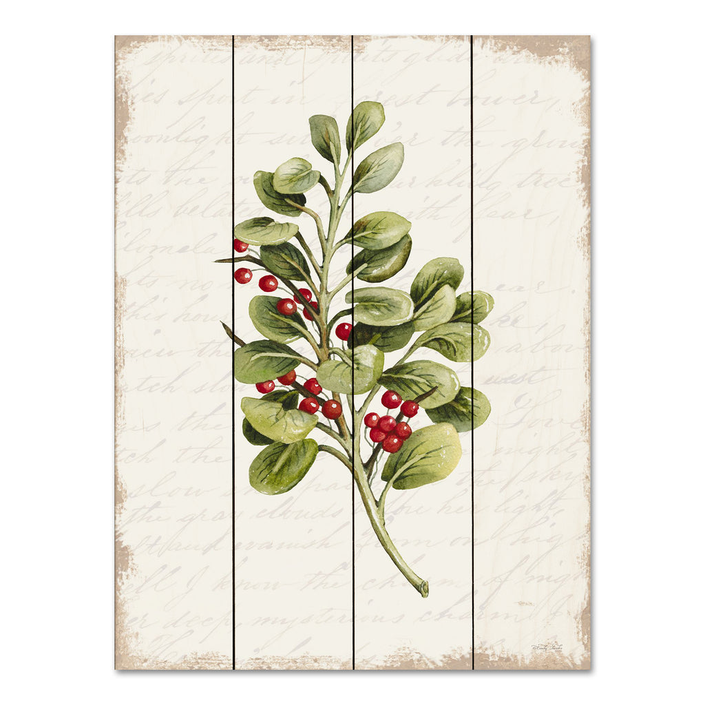 Cindy Jacobs CIN3279PAL - CIN3279PAL - Berries Christmas Botanical - 12x16 Mistletoe, Berries, Greenery, Christmas, Holidays, Nature from Penny Lane