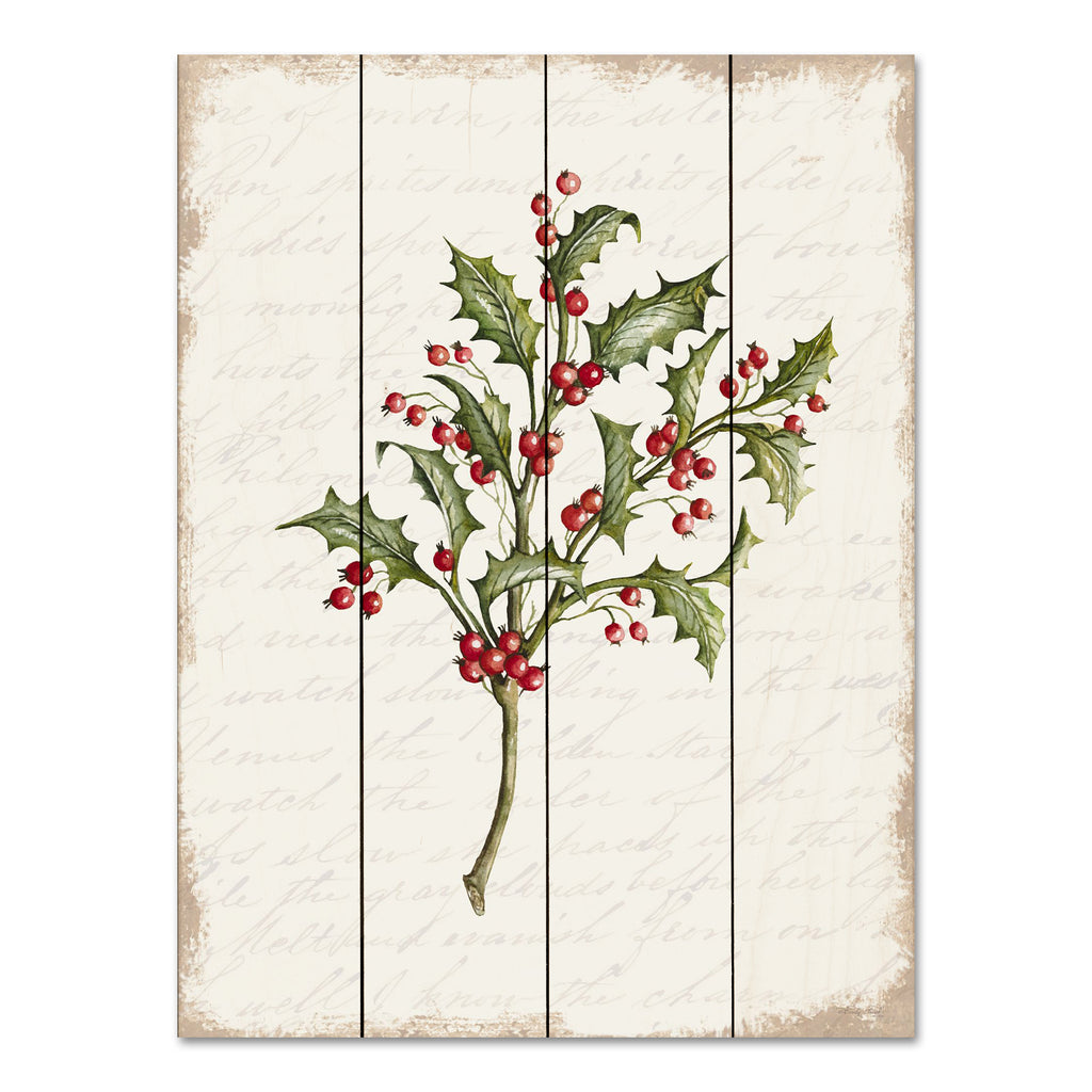 Cindy Jacobs CIN3280PAL - CIN3280PAL - Holly Christmas Botanical - 12x16 Holly, Berries, Greenery, Christmas, Holidays, Nature from Penny Lane