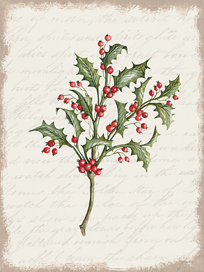 Cindy Jacobs CIN3280 - CIN3280 - Holly Christmas Botanical - 12x16 Holly, Berries, Greenery, Christmas, Holidays, Nature from Penny Lane