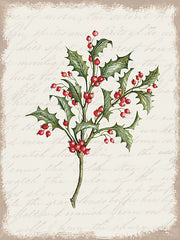 CIN3280 - Holly Christmas Botanical - 12x16