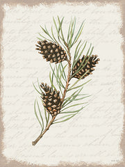 CIN3281 - Pine Cone Botanical I - 12x16